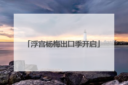 浮宫杨梅出口季开启